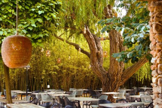 Vivez l&#8217;été à l’Arbor &amp; Sens : Musique et Gourmandise à Argelès-sur-Mer