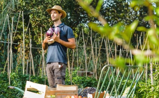 Restaurant l’Arbor &#038; Sens à Argelès-sur-Mer, une cuisine saine et raffinée dans un cadre magique